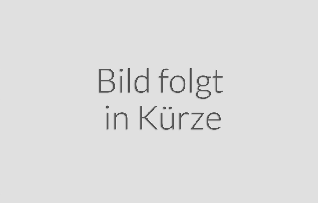 Audi A5 B10 Umgebungsansicht „Area View“ 360 Grad Kamera